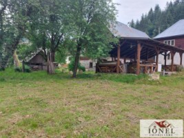 casa-de-vanzare-in-muntii-apuseni-horea-2