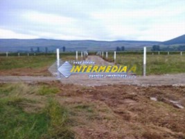 vanzare-teren-intravilan-402-mp-alba-micesti-cu-puz-aprobat-2