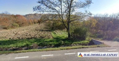 vand-teren-5000-mp-intravilan-radesti-stalpeni-arges-2