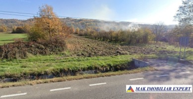 vand-teren-5000-mp-intravilan-radesti-stalpeni-arges-1