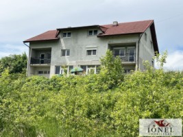 casa-de-vanzare-in-teius-2