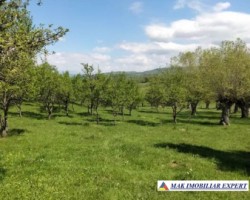 vand-teren-intra-extravilan-19-ha-boteni-arges