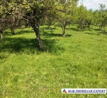 vand-teren-intra-extravilan-19-ha-boteni-arges-1