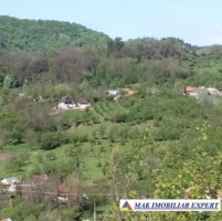 vand-teren-intra-extravilan-19-ha-boteni-arges-3