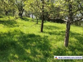 vand-teren-intra-extravilan-19-ha-boteni-arges-4