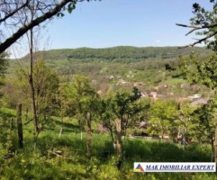 vand-teren-intra-extravilan-19-ha-boteni-arges-5