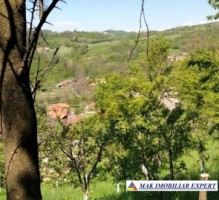 vand-teren-intra-extravilan-19-ha-boteni-arges-6