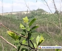 vand-teren-intra-extravilan-19-ha-boteni-arges-7