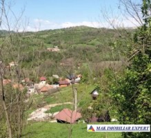 vand-teren-intra-extravilan-19-ha-boteni-arges-8