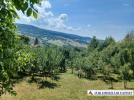 vand-teren-intra-extravilan-19-ha-boteni-arges-2