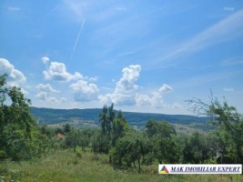 vand-teren-intra-extravilan-19-ha-boteni-arges-9