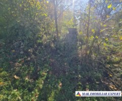 urgent-teren-intravilan-de-vanzare-214551-mp-central-in-bughea-de-jos-arges-9