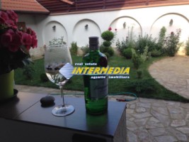 inchiriere-casa-individuala-5-camere-renovata-izolata-finisata-mobilata-complet-sebes-central-3