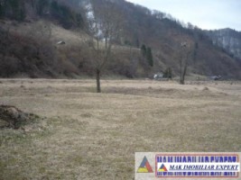teren-2168-mp-intra-extravilan-parcelat-in-rucar-satic-oportunitate-ideala-1