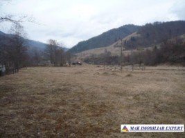 teren-2168-mp-intra-extravilan-parcelat-in-rucar-satic-oportunitate-ideala-5