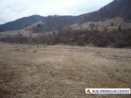 teren-2168-mp-intra-extravilan-parcelat-in-rucar-satic-oportunitate-ideala-3