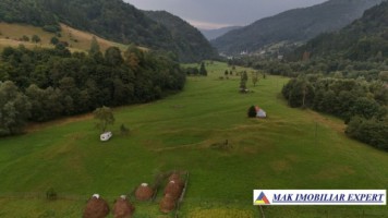 teren-2168-mp-intra-extravilan-parcelat-in-rucar-satic-oportunitate-ideala-6