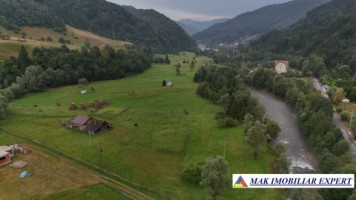 teren-2168-mp-intra-extravilan-parcelat-in-rucar-satic-oportunitate-ideala-2