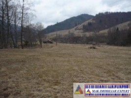 teren-2168-mp-intra-extravilan-parcelat-in-rucar-satic-oportunitate-ideala-7