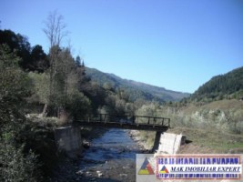teren-2168-mp-intra-extravilan-parcelat-in-rucar-satic-oportunitate-ideala-18