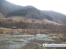 teren-2168-mp-intra-extravilan-parcelat-in-rucar-satic-oportunitate-ideala-23
