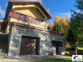 casa-de-vacanta-situata-in-bustenigolful-regal-11