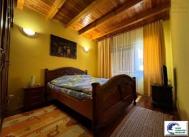 casa-de-vacanta-situata-in-bustenigolful-regal-15