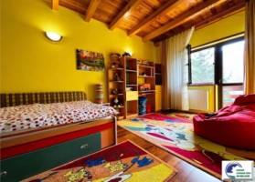 casa-de-vacanta-situata-in-bustenigolful-regal-17