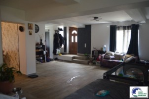 casa-de-vacanta-situata-in-bustenipiatra-arsa-1
