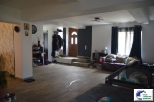 casa-de-vacanta-situata-in-bustenipiatra-arsa-2