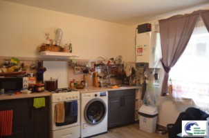 casa-de-vacanta-situata-in-bustenipiatra-arsa-5