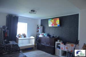 casa-de-vacanta-situata-in-bustenipiatra-arsa