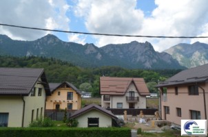 casa-de-vacanta-situata-in-bustenipiatra-arsa-17