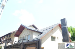 casa-de-vacanta-situata-in-bustenipiatra-arsa-20