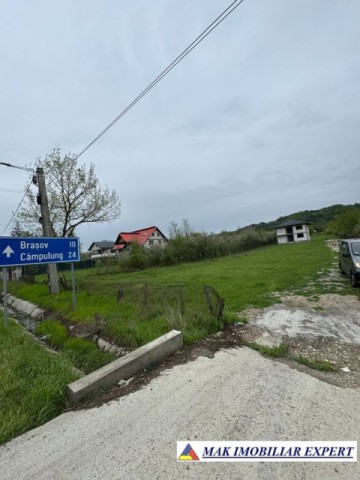 vand-vila-4-camere-3000-mp-teren-mihaesti-arges-4