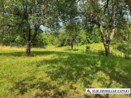 vila-3-camere-teren-1500-mp-capul-piscului-godeni-arges-18