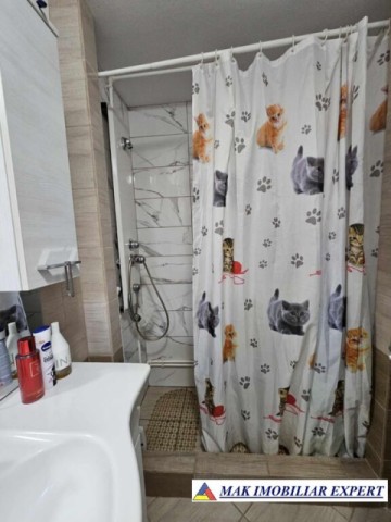 vila-5-camere-teren-811-mp-de-vanzare-in-bradulet-arges-6