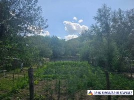 vila-5-camere-teren-811-mp-de-vanzare-in-bradulet-arges-12