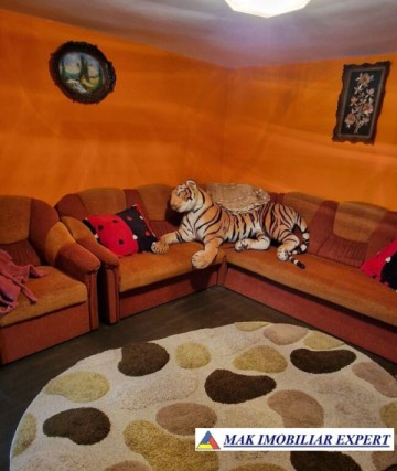 vila-5-camere-teren-1000-mp-de-vanzare-cetateni-arges-5