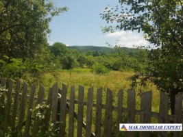 teren-intravilan-300-mp-de-vanzare-stalpeni-arges