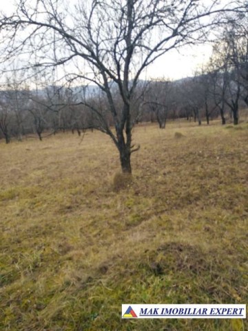 tel-inactiv-teren-3623-mp-intravilan-de-vanzare-in-poienarii-de-muscel-arges-3