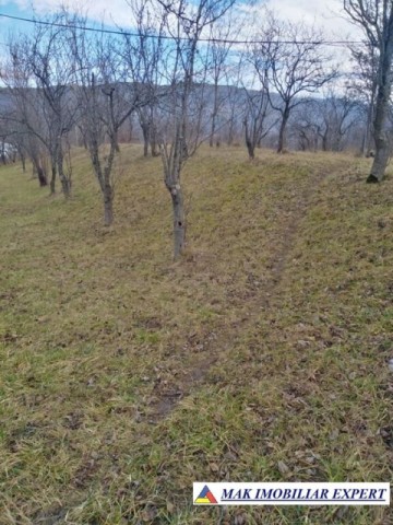 tel-inactiv-teren-3623-mp-intravilan-de-vanzare-in-poienarii-de-muscel-arges-1