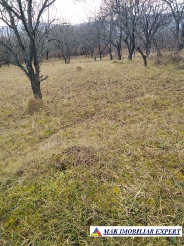 tel-inactiv-teren-3623-mp-intravilan-de-vanzare-in-poienarii-de-muscel-arges-2