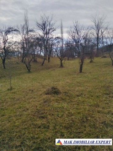 tel-inactiv-teren-3623-mp-intravilan-de-vanzare-in-poienarii-de-muscel-arges