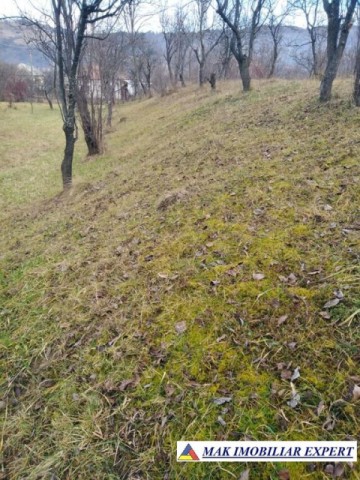 tel-inactiv-teren-3623-mp-intravilan-de-vanzare-in-poienarii-de-muscel-arges-4
