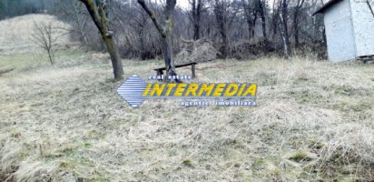 teren-intravilan-in-paclisa-1450mp-cu-puz-aprobat