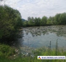 teren-648-ha-lacuri-peste-7200-mp-luciu-in-mihaesti-arges-1