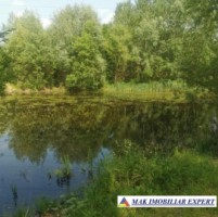teren-648-ha-lacuri-peste-7200-mp-luciu-in-mihaesti-arges-3