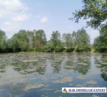 teren-648-ha-lacuri-peste-7200-mp-luciu-in-mihaesti-arges-4