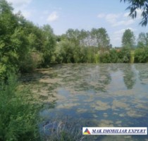 teren-648-ha-lacuri-peste-7200-mp-luciu-in-mihaesti-arges-5